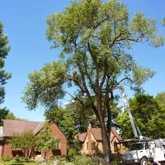 Expert landscape design for homes in Arvada, CO by Jones Tree & Lawn