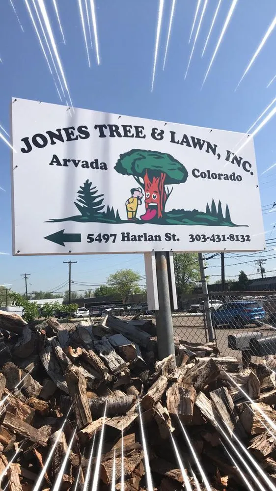 Professional landscaping services for beautiful yards in Arvada, CO by Jones Tree & Lawn