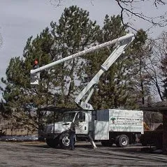 Affordable landscape design experts serving Arvada, CO - Jones Tree & Lawn