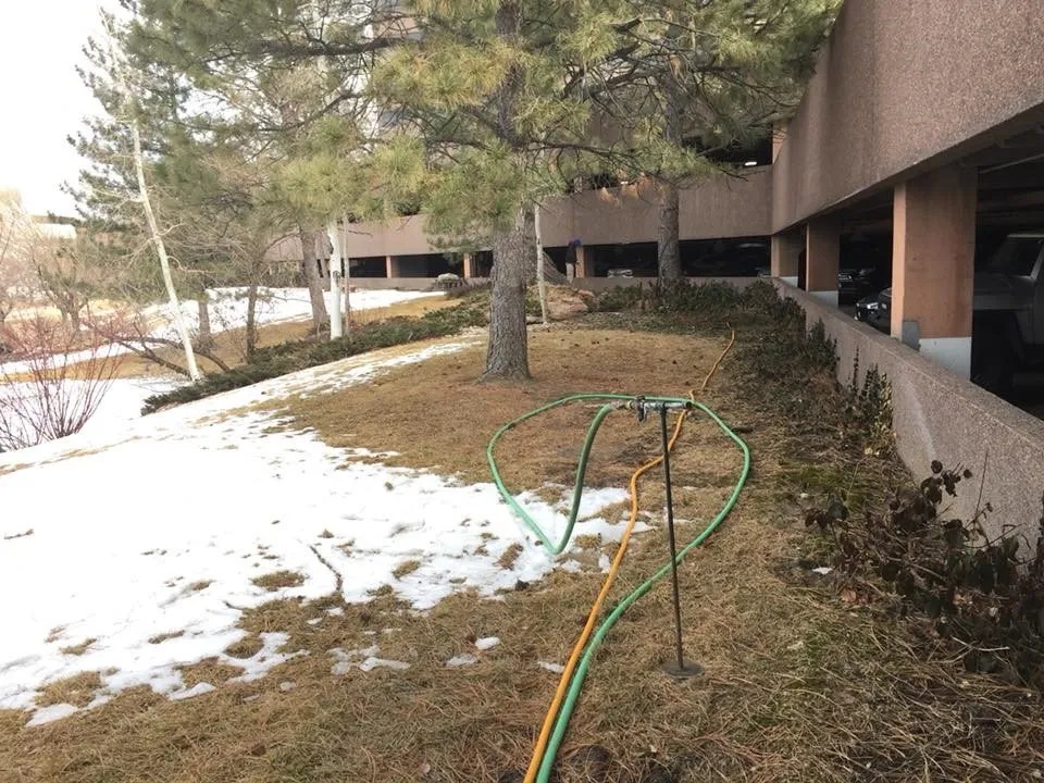 Reliable yard cleanup service for outdoor upgrades across Arvada, CO - Jones Tree & Lawn