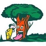 Trusted yard cleanup service experts serving Arvada, CO - Jones Tree & Lawn