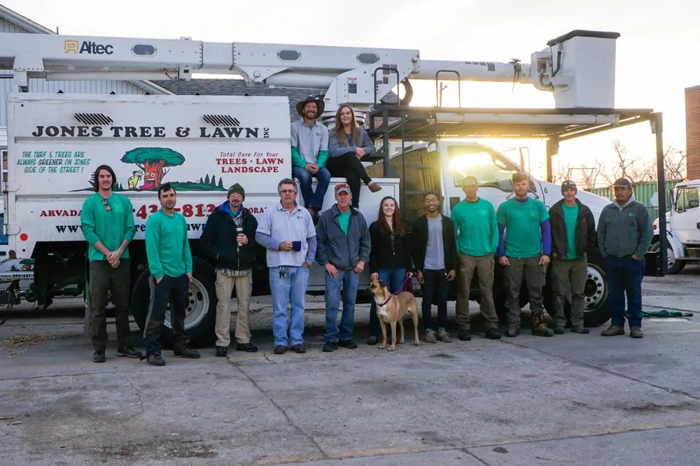 Expert lawn care service for residential properties in Arvada, CO by Jones Tree & Lawn