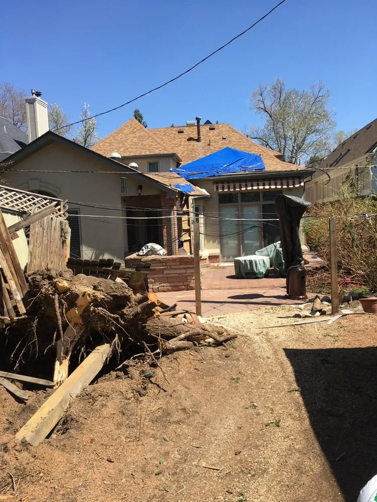 Local landscaping services experts serving Arvada, CO - Jones Tree & Lawn