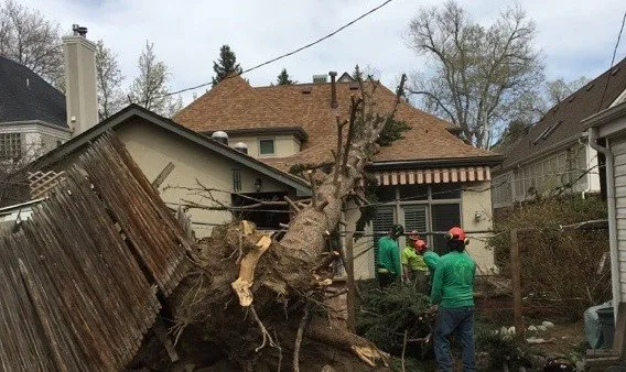 Trusted garden landscaping in Arvada, CO by Jones Tree & Lawn