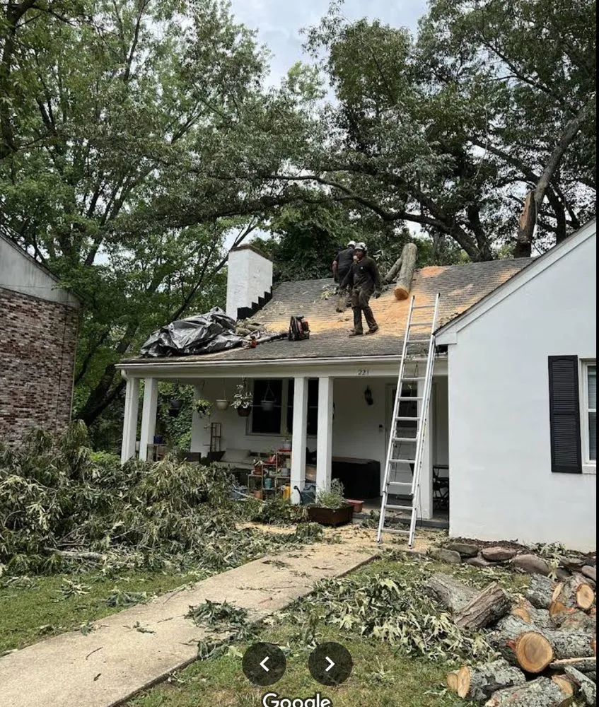 Professional yard maintenance for residential properties across Scottsville, VA - Jones Tree Service & Landscaping