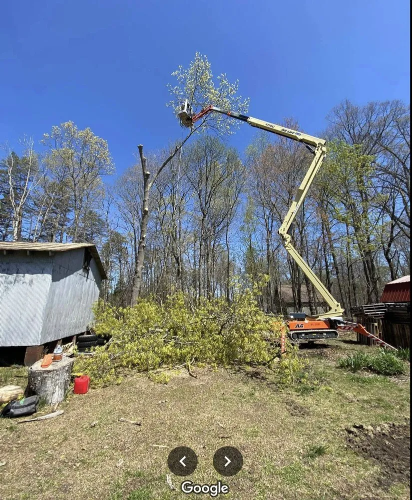 Top-rated outdoor landscaping in Scottsville, VA - Jones Tree Service & Landscaping