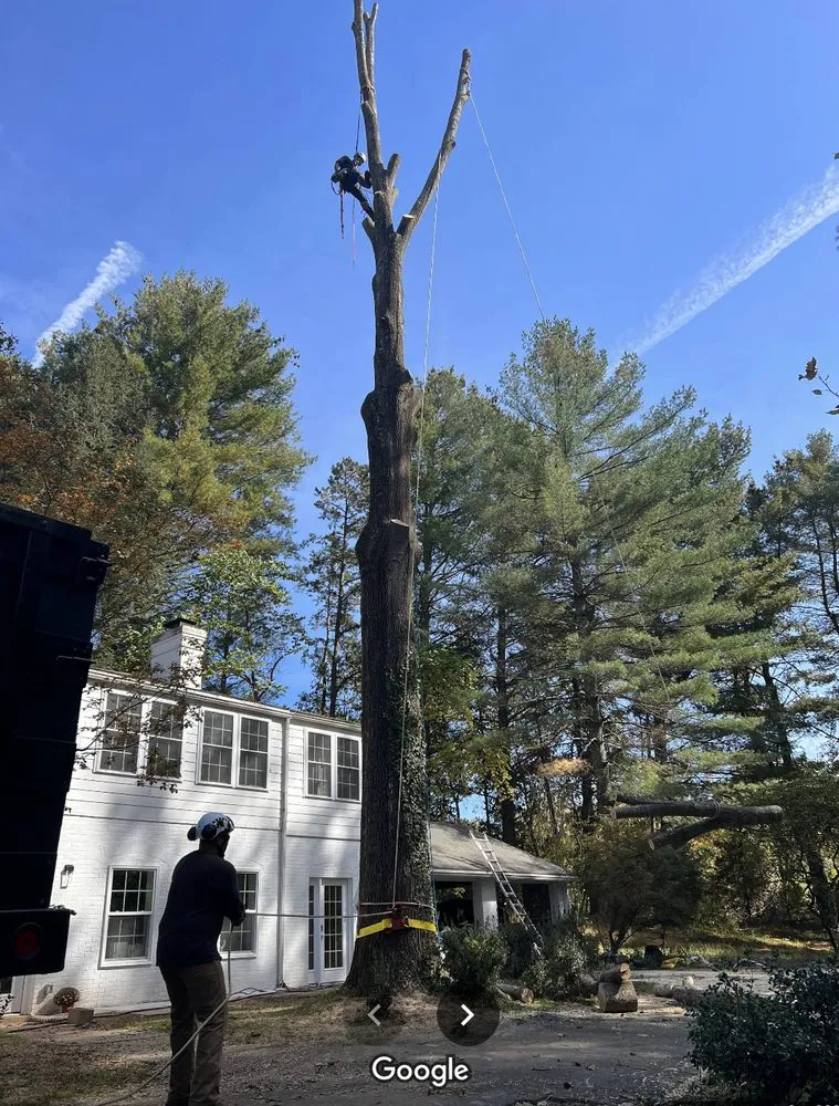 Local outdoor landscaping experts serving Scottsville, VA - Jones Tree Service & Landscaping
