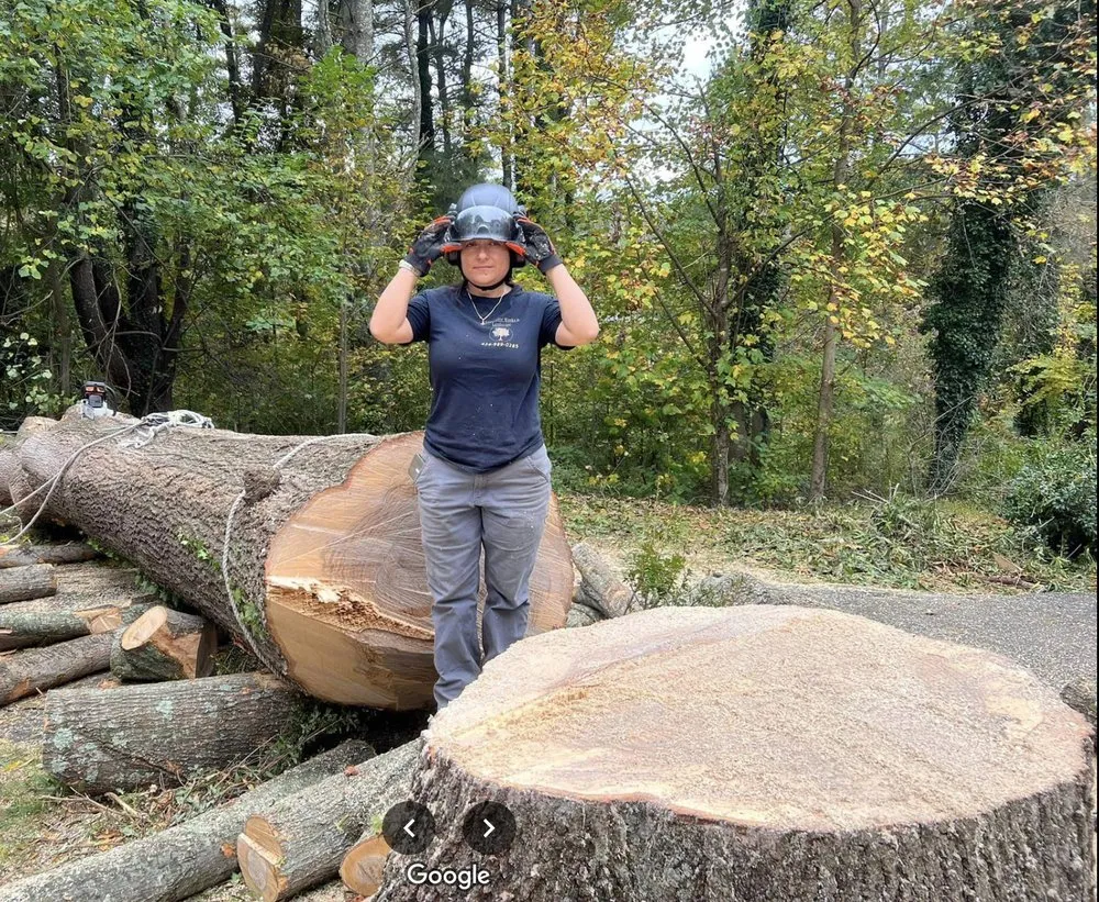 Custom yard cleanup service with custom design across Scottsville, VA - Jones Tree Service & Landscaping
