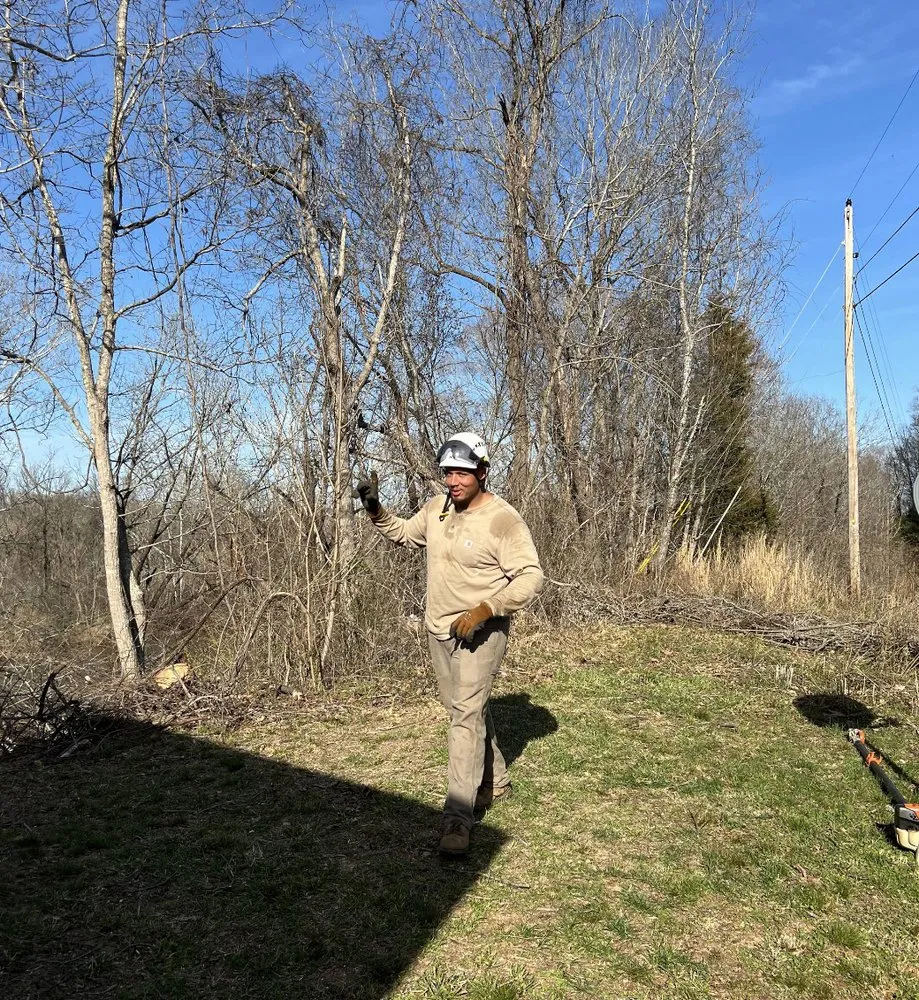 Reliable yard maintenance in Scottsville, VA - Jones Tree Service & Landscaping