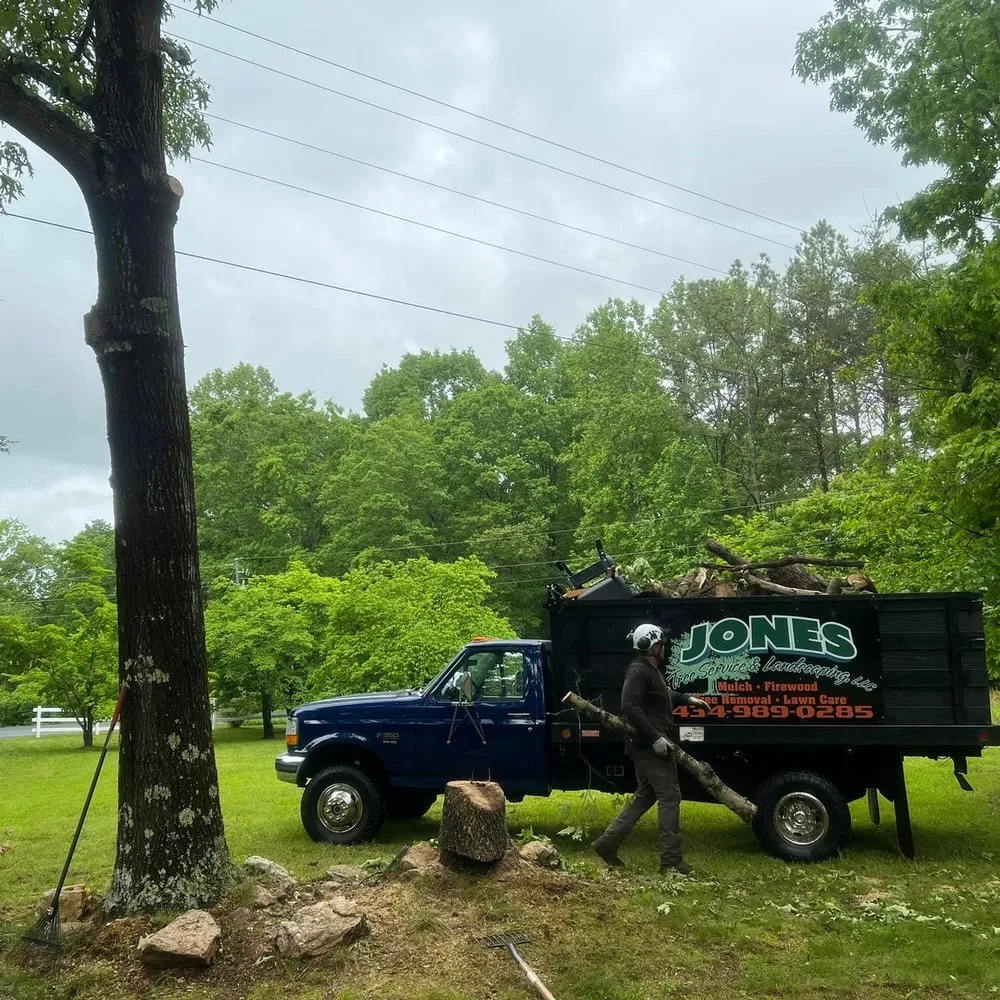 Expert landscape design for homes across Scottsville, VA - Jones Tree Service & Landscaping