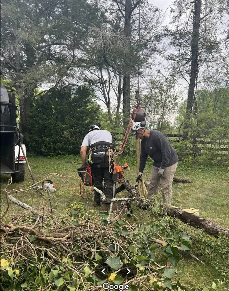 Trusted lawn care service in Scottsville, VA by Jones Tree Service & Landscaping