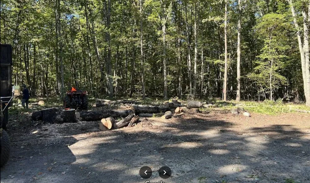 Professional lawn care service in Scottsville, VA by Jones Tree Service & Landscaping