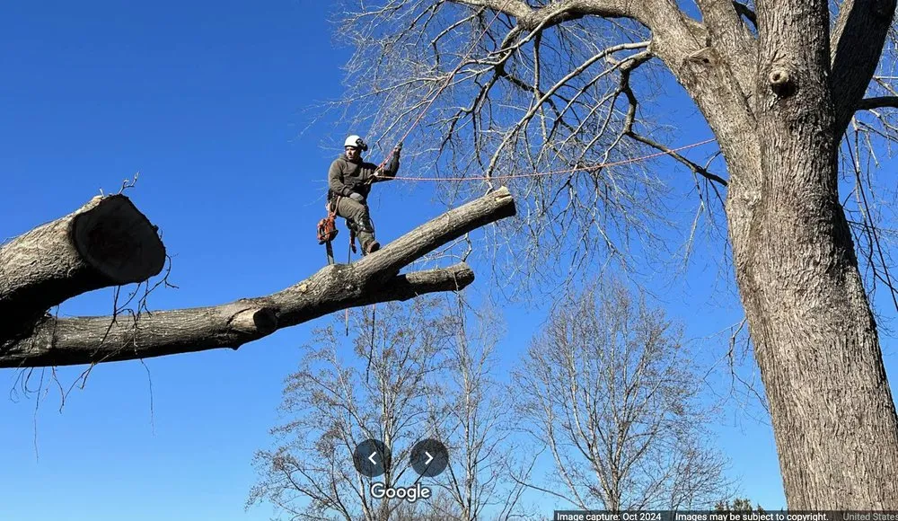 Custom landscape installation experts serving Scottsville, VA - Jones Tree Service & Landscaping