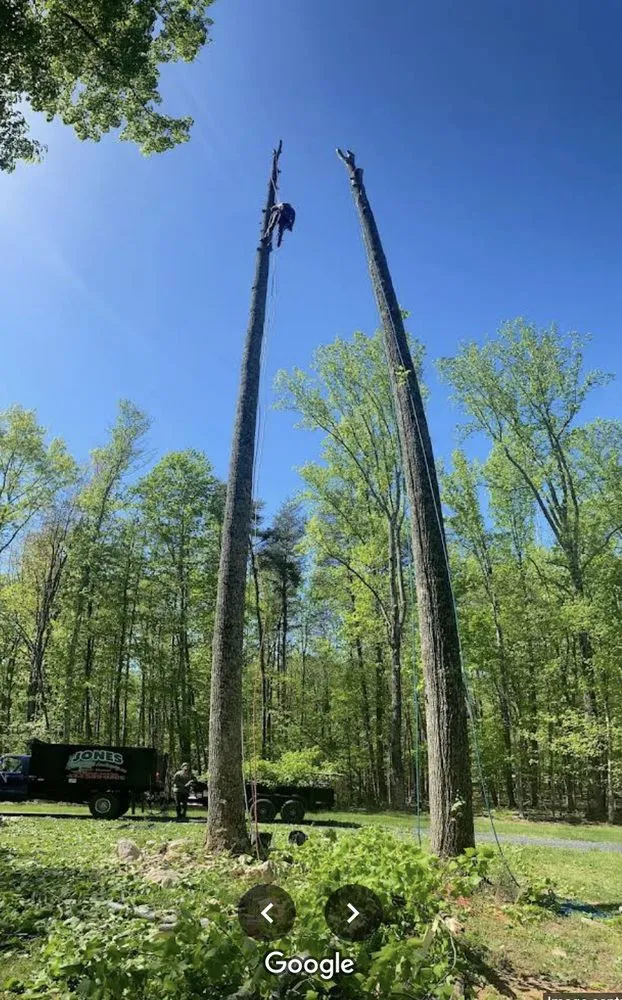 Affordable lawn care service experts serving Scottsville, VA - Jones Tree Service & Landscaping