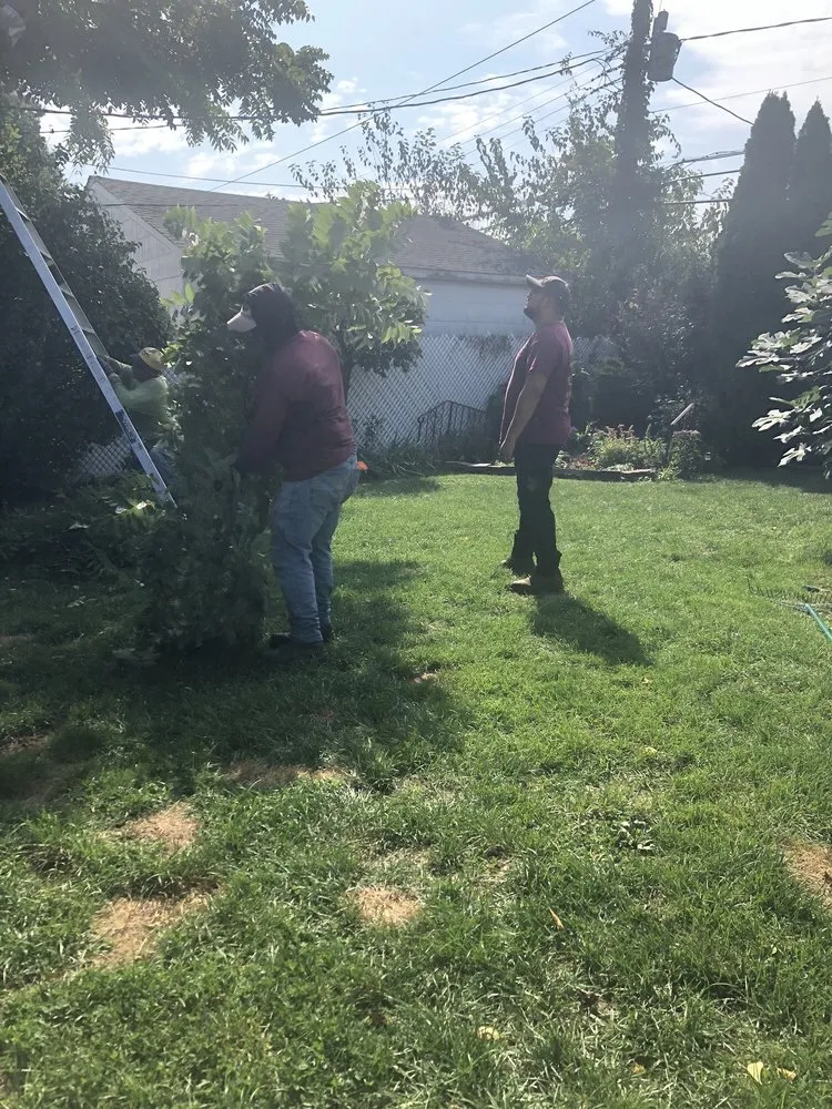 Trusted outdoor landscaping in Copiague, NY - Jones Tree Service