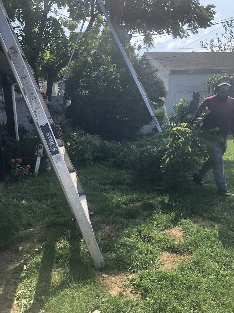 Reliable residential landscaping experts serving Copiague, NY - Jones Tree Service