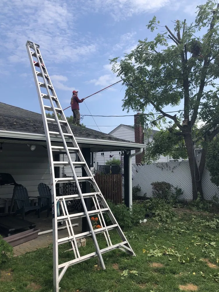 Local lawn mowing service near you in Copiague, NY by Jones Tree Service