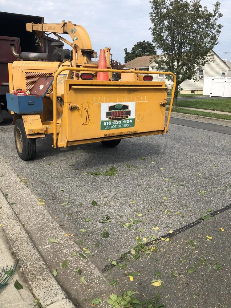 Expert lawn care service experts serving Copiague, NY - Jones Tree Service