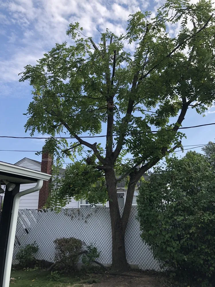 Trusted residential landscaping for beautiful yards in Copiague, NY by Jones Tree Service