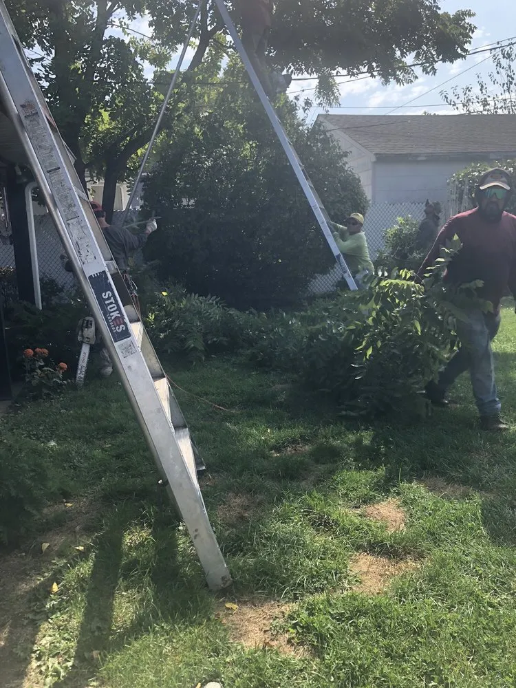 Professional landscape installation for outdoor upgrades across Copiague, NY - Jones Tree Service