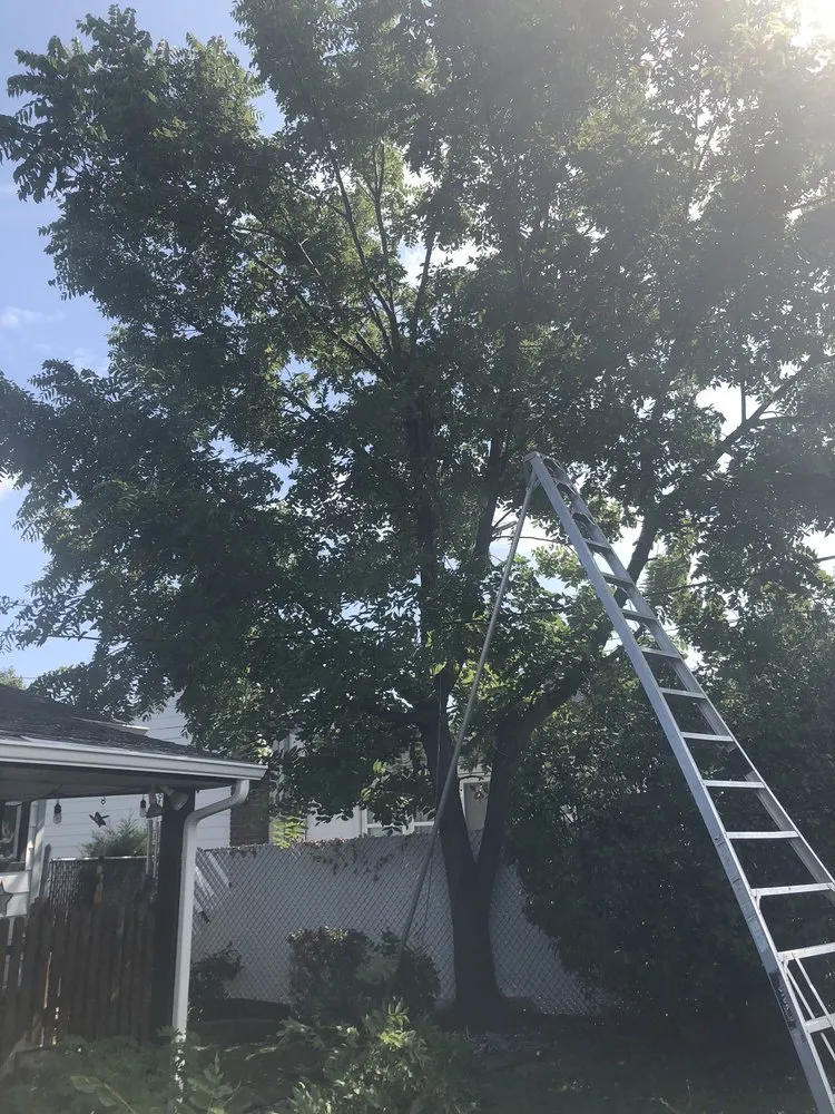 Professional landscape design experts serving Copiague, NY - Jones Tree Service