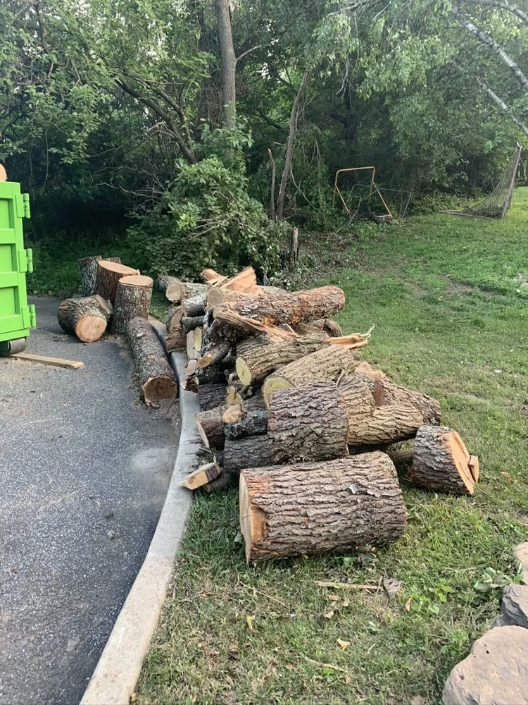 Affordable lawn mowing service experts serving Havertown, PA - Jones Tree Services