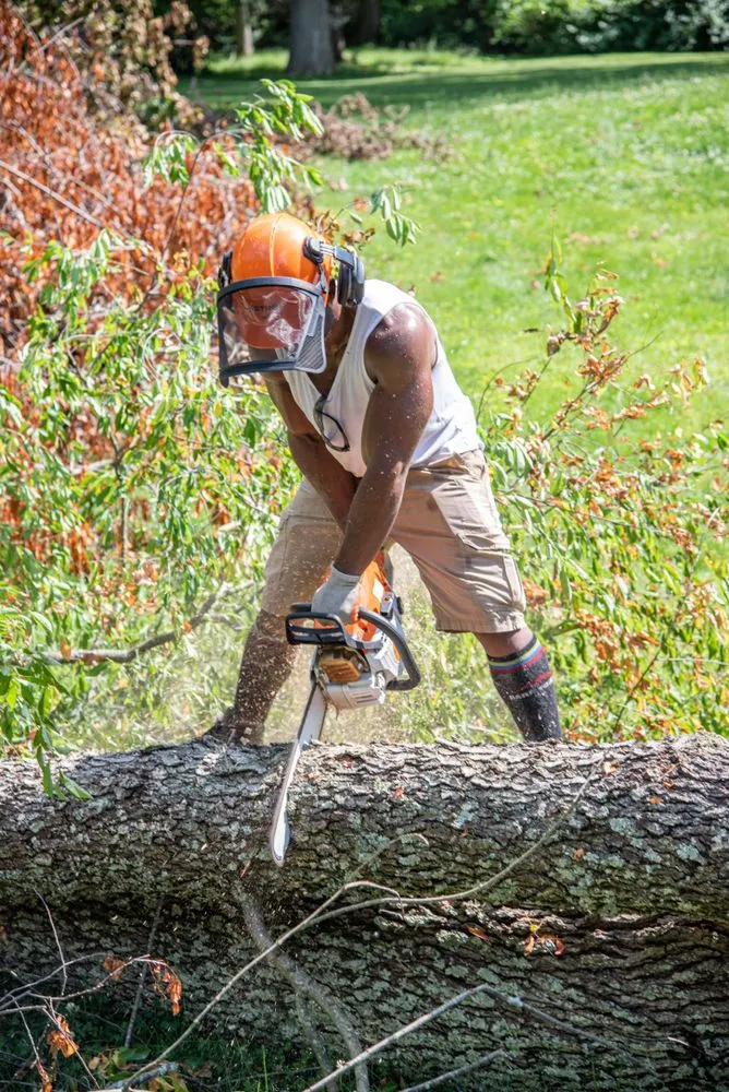 Expert landscape design for residential properties in Havertown, PA by Jones Tree Services