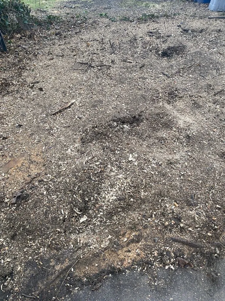 Professional lawn mowing service in Havertown, PA by Jones Tree Services