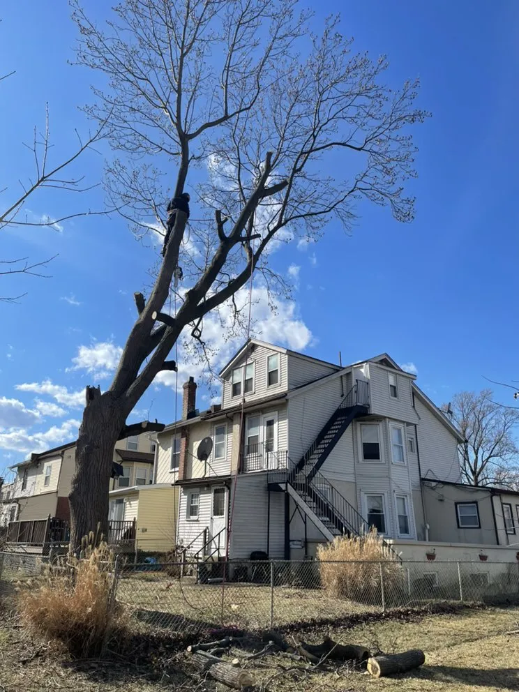 Custom landscaping services in Havertown, PA - Jones Tree Services