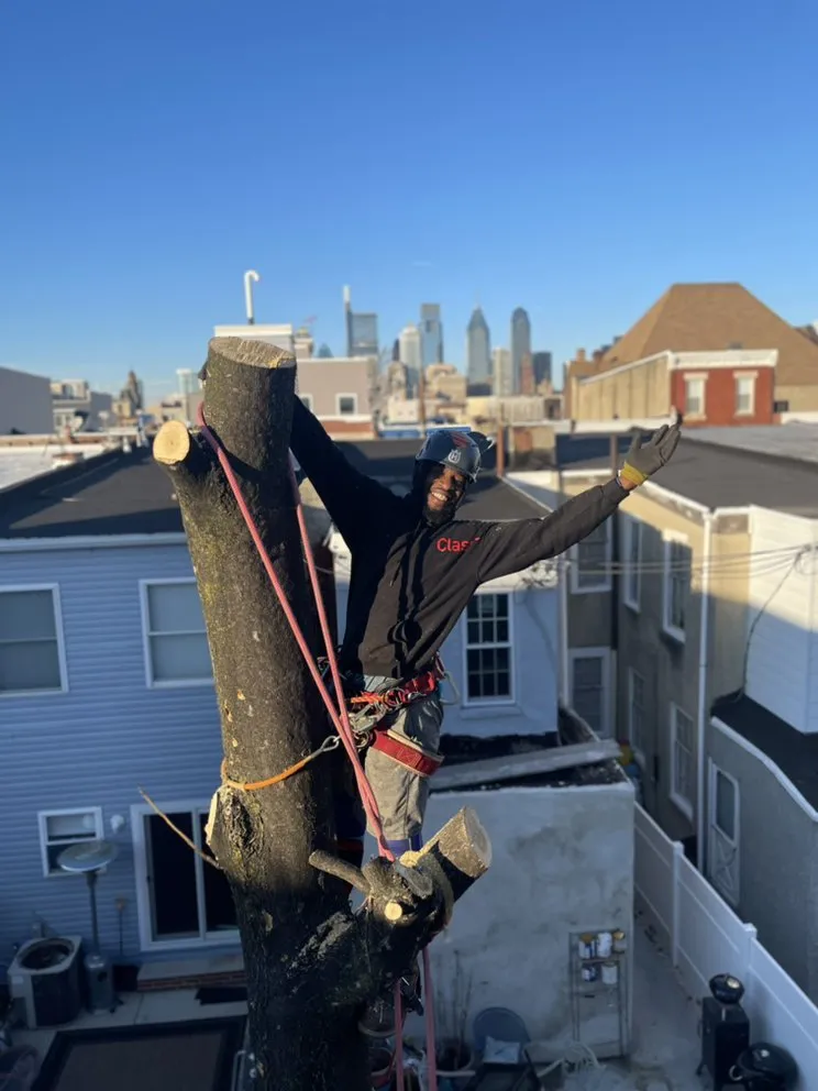 Trusted landscape design for outdoor upgrades across Havertown, PA - Jones Tree Services