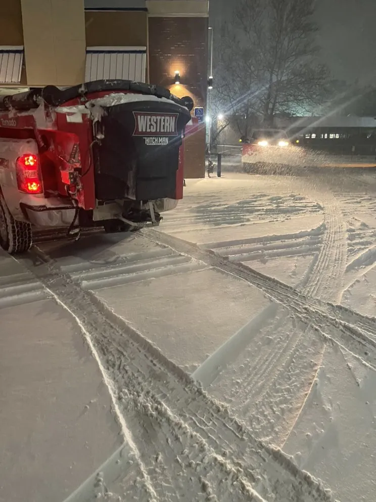 Reliable landscape installation with custom design across Havertown, PA - Jones Tree Services