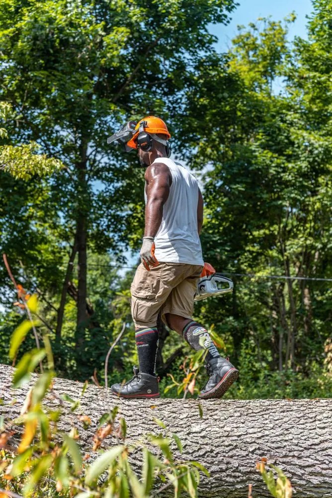 Trusted lawn care service near you in Havertown, PA by Jones Tree Services