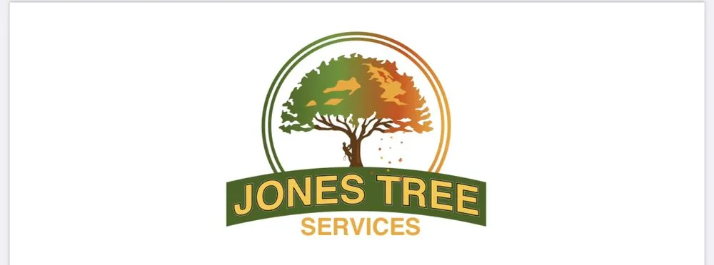 Affordable landscape design for outdoor upgrades across Havertown, PA - Jones Tree Services