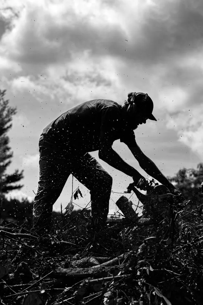 Local landscaping services for homes in Havertown, PA by Jones Tree Services