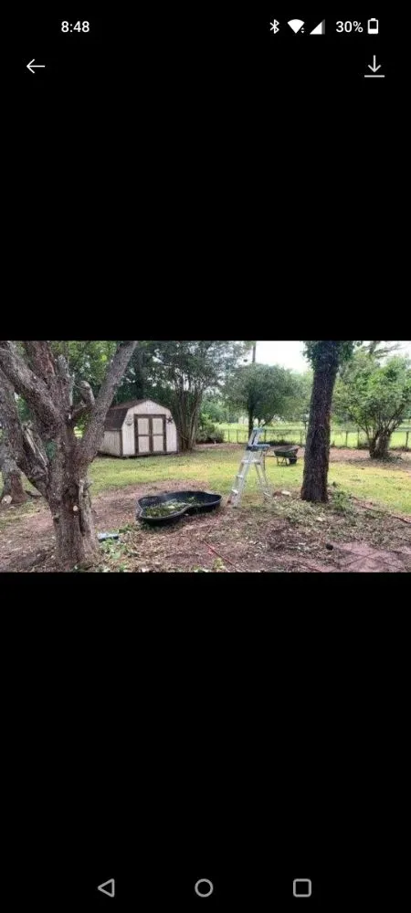 Local yard cleanup service for homes across Brazoria, TX - Jones yard crew and small home repair