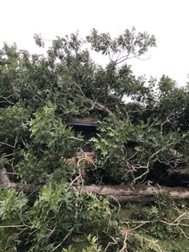 Trusted yard cleanup service near you across Brazoria, TX - Jones yard crew and small home repair