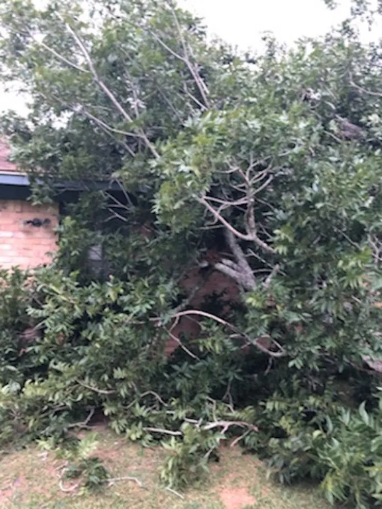 Affordable yard maintenance in Brazoria, TX - Jones yard crew and small home repair