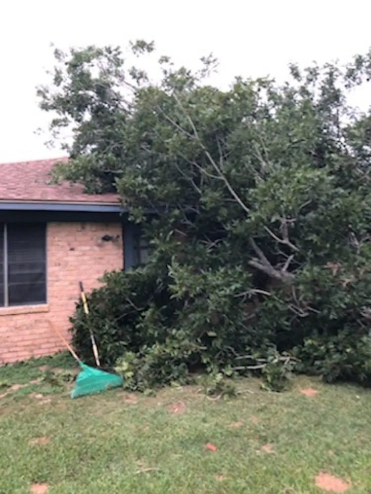 Top-rated garden landscaping in Brazoria, TX - Jones yard crew and small home repair