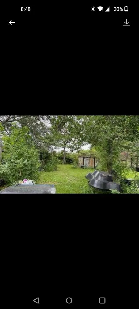 Affordable landscape design in Brazoria, TX - Jones yard crew and small home repair