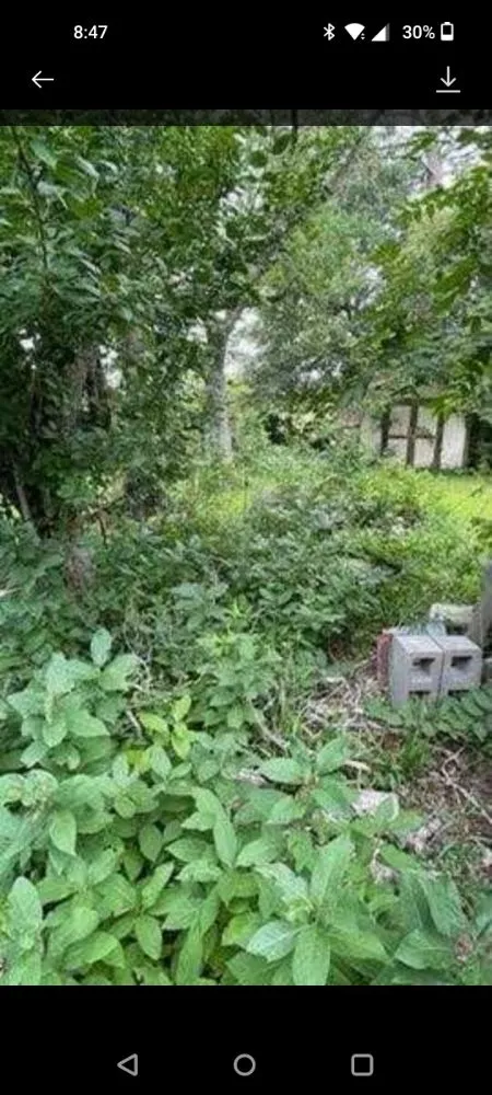 Custom landscaping services in Brazoria, TX - Jones yard crew and small home repair