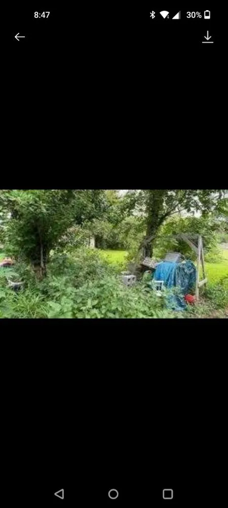 Affordable yard cleanup service experts serving Brazoria, TX - Jones yard crew and small home repair