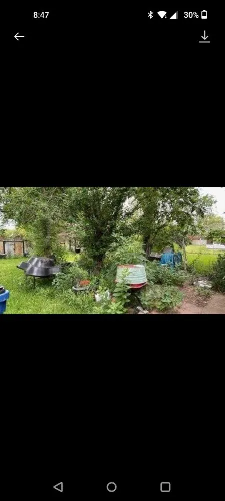 Local garden landscaping in Brazoria, TX - Jones yard crew and small home repair