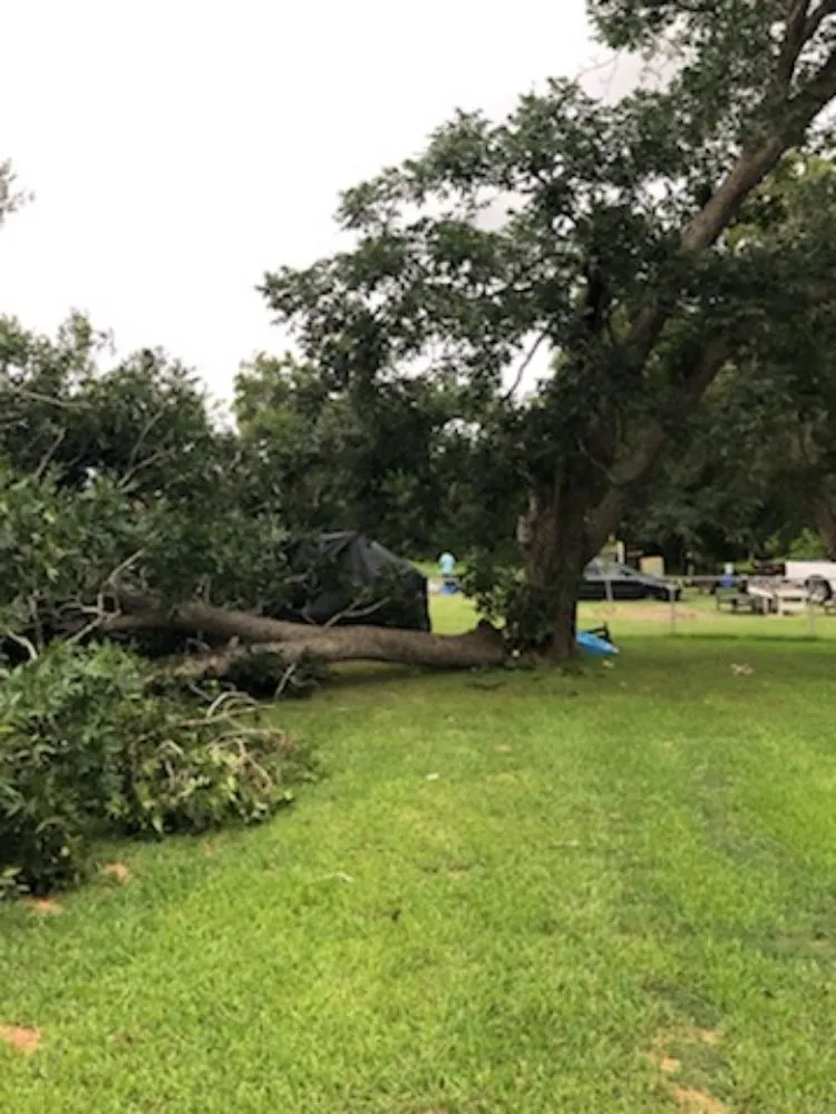 Custom landscaping services in Brazoria, TX by Jones yard crew and small home repair