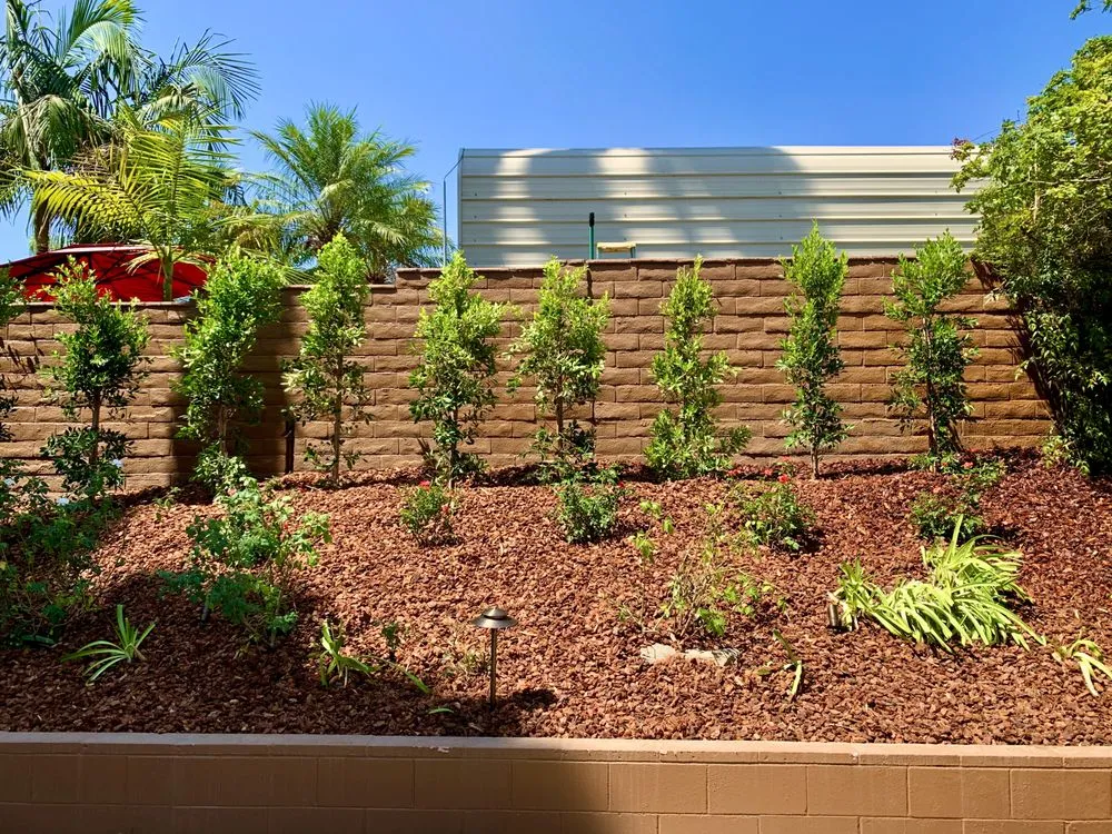 Custom yard cleanup service for beautiful yards across Upland, CA - Jonescape