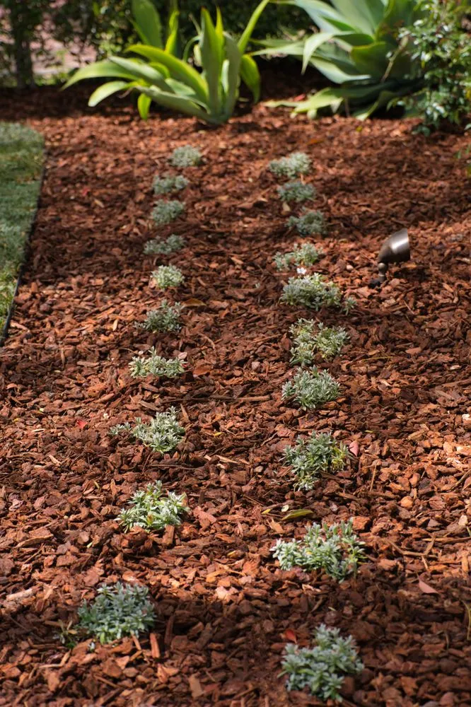 Trusted garden landscaping with custom design in Upland, CA by Jonescape