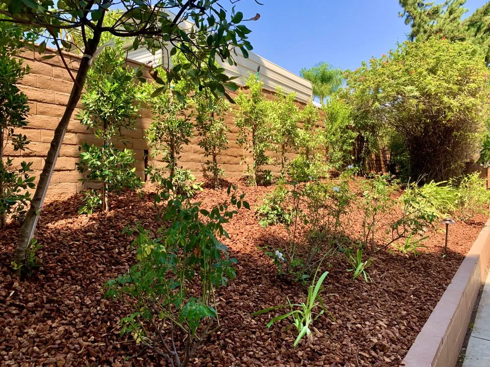 Custom landscaping services for beautiful yards across Upland, CA - Jonescape