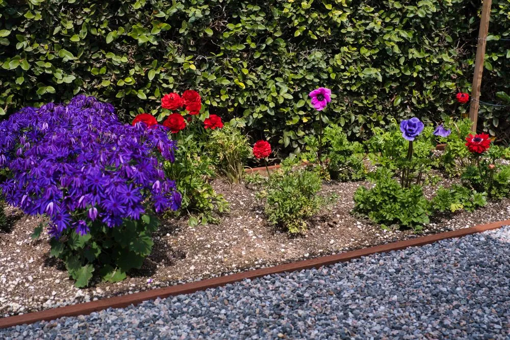 Local outdoor landscaping in Upland, CA - Jonescape