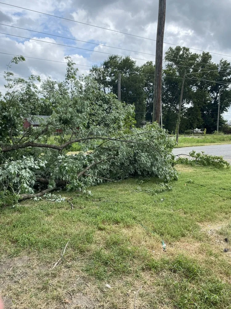 Custom yard maintenance in Miami, OK by Joniahs Tree Service