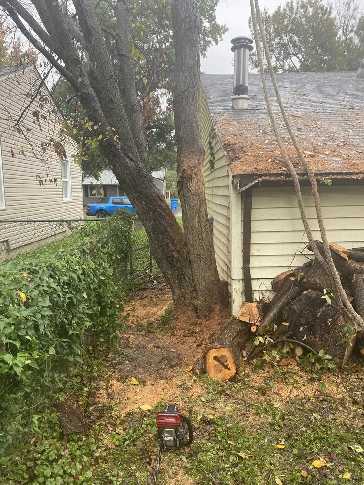 Trusted landscape installation near you in Miami, OK by Joniahs Tree Service