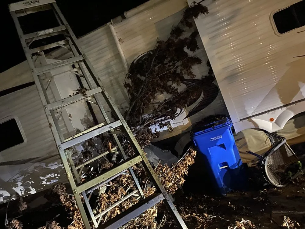 Professional outdoor landscaping for year-round maintenance in Miami, OK by Joniahs Tree Service